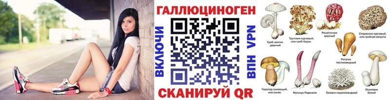 kraken сайт  Пролетарск  Псилоцибиновые грибы MAGIC MUSHROOMS 